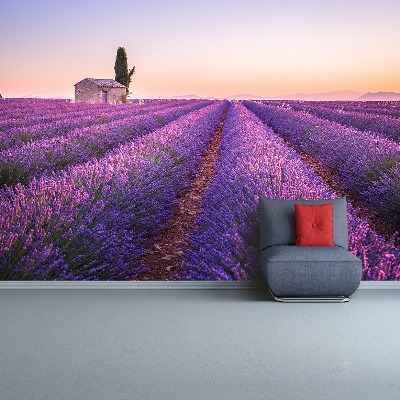 Foto tapeta Lavanda Provansa