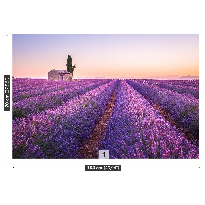 Foto tapeta Lavanda Provansa