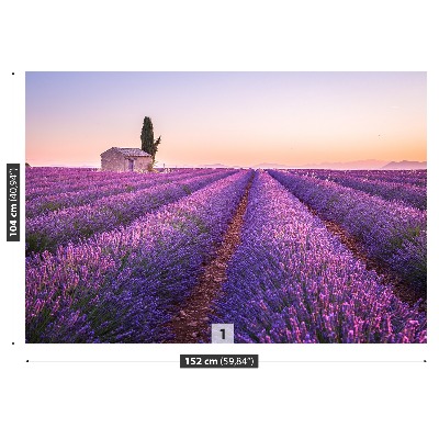 Foto tapeta Lavanda Provansa