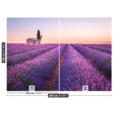 Foto tapeta Lavanda Provansa