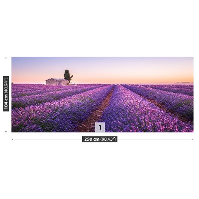 Foto tapeta Lavanda Provansa