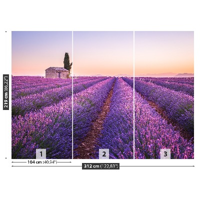 Foto tapeta Lavanda Provansa