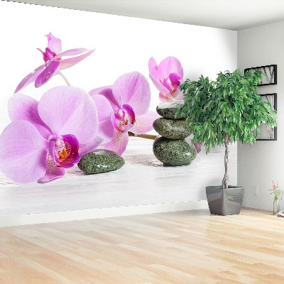 Foto tapeta Orchid Spa