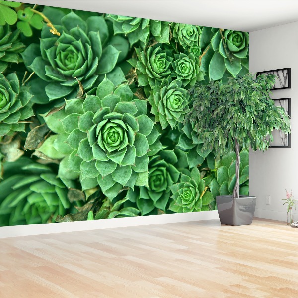 Foto tapeta Sedum Green