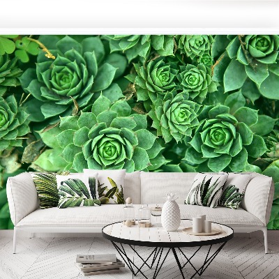 Foto tapeta Sedum Green