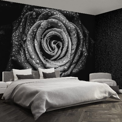 Zidna tapeta Rose Black