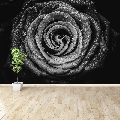 Zidna tapeta Rose Black