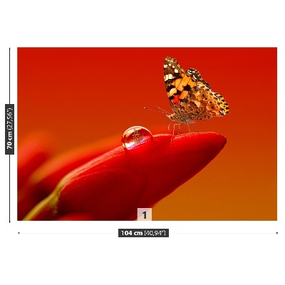 Zidna tapeta Tulipan leptir