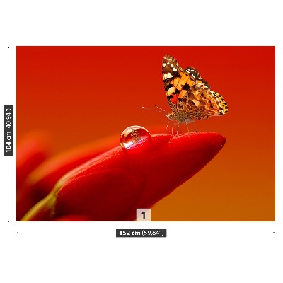 Zidna tapeta Tulipan leptir
