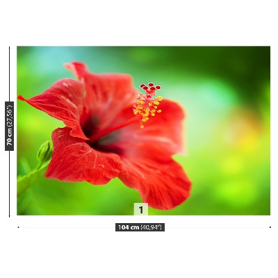 Zidna tapeta Crveni hibiskus