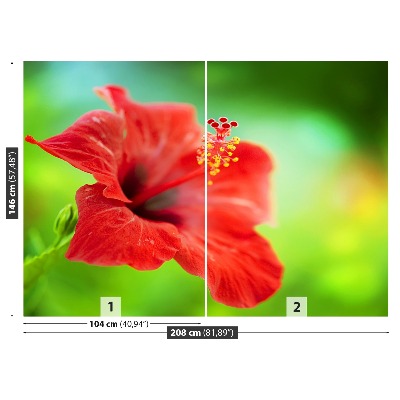 Zidna tapeta Crveni hibiskus