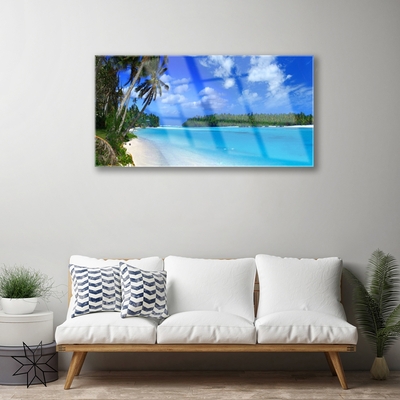 Fotografija na akrilnom staklu Plaža Palms Sea
