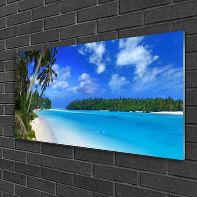 Fotografija na akrilnom staklu Plaža Palms Sea