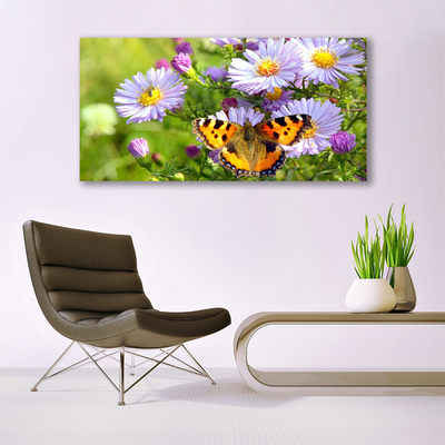 Fotografija na akrilnom staklu Cvijeće Leptir Biljka Priroda
