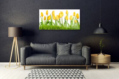 Slika na akrilnom staklu Tulipani na zidu