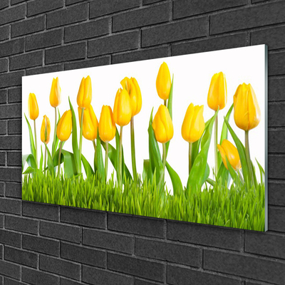 Slika na akrilnom staklu Tulipani na zidu