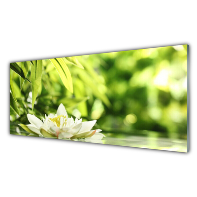 Fotografija na akrilnom staklu Cvijet Lišće