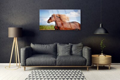 Slika na akrilnom staklu Konji Životinje