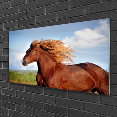 Slika na akrilnom staklu Konji Životinje
