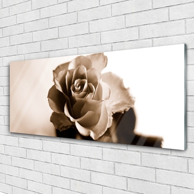 Fotografija na akrilnom staklu Biljka ruža