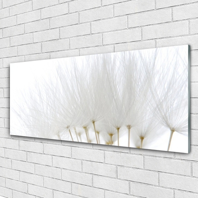 Fotografija na akrilnom staklu Cvijeće Na Zidu