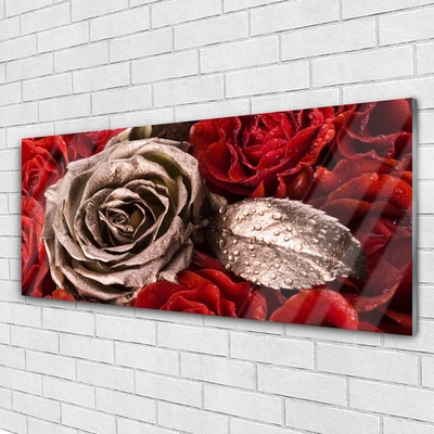 Pleksiglas slika Ruže Cvijeće