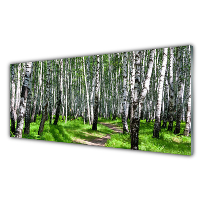 Fotografija na akrilnom staklu Drveće Trava Priroda