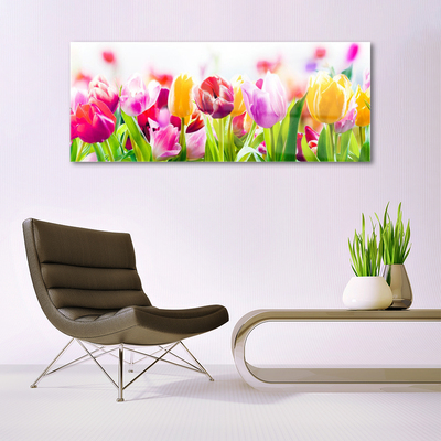 Fotografija na akrilnom staklu Tulipani Cvijeće