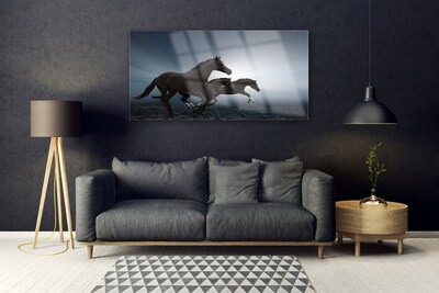 Fotografija na akrilnom staklu Konji Životinje