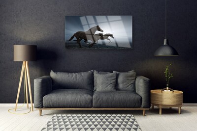 Fotografija na akrilnom staklu Konji Životinje