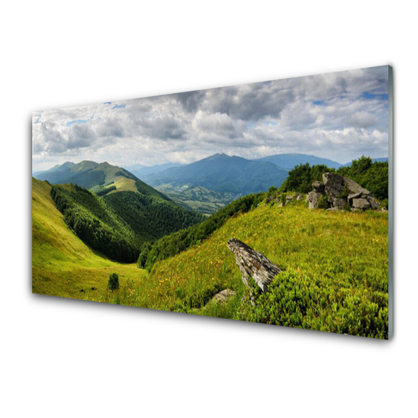 Fotografija na akrilnom staklu Krajolik planinske livade