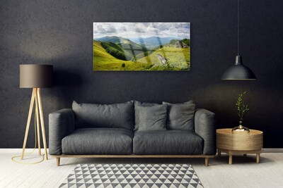 Fotografija na akrilnom staklu Krajolik planinske livade