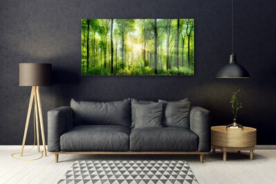 Fotografija na akrilnom staklu Šumska priroda Drveće