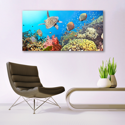 Fotografija na akrilnom staklu Krajolik koraljnog grebena