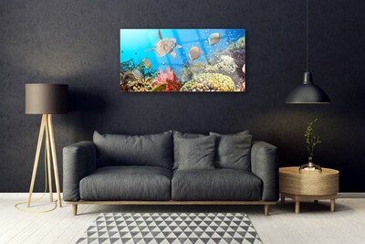 Fotografija na akrilnom staklu Krajolik koraljnog grebena