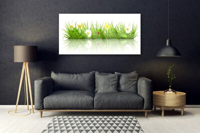 Fotografija na akrilnom staklu Trava Prirodna biljka