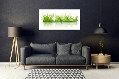 Fotografija na akrilnom staklu Trava Prirodna biljka