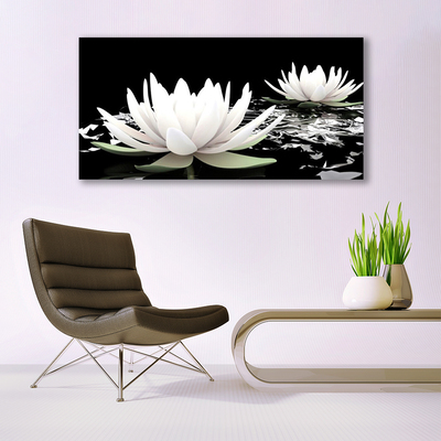 Slika na akrilnom staklu Cvijeće Biljna priroda
