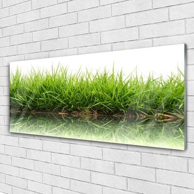 Fotografija na akrilnom staklu Trava vodena prirodna biljka