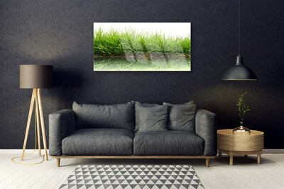 Fotografija na akrilnom staklu Trava vodena prirodna biljka