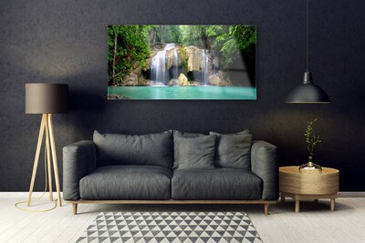 Fotografija na akrilnom staklu Vodopad Drvo Priroda