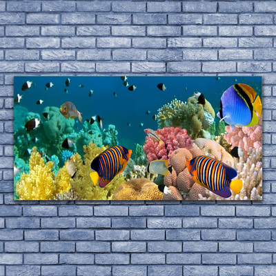 Akrilna slika Priroda koraljnog grebena