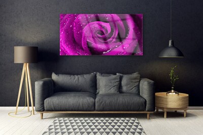 Fotografija na akrilnom staklu Rose Flower Biljna priroda