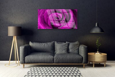 Fotografija na akrilnom staklu Rose Flower Biljna priroda