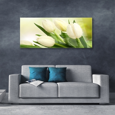 Fotografija na akrilnom staklu Tulipani Cvijeće Biljka