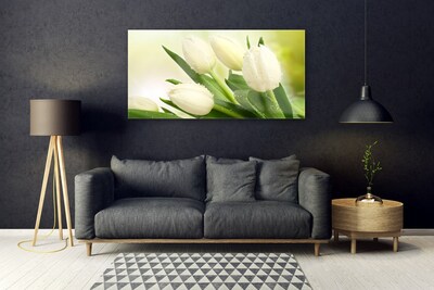 Fotografija na akrilnom staklu Tulipani Cvijeće Biljka