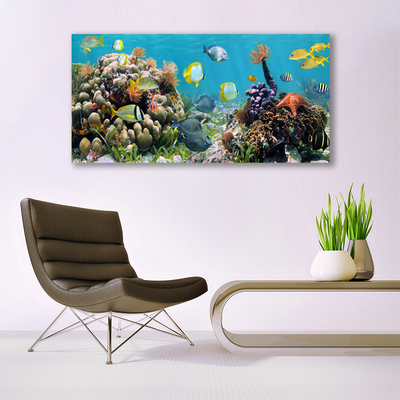 Slika na akrilnom staklu Priroda koraljnog grebena