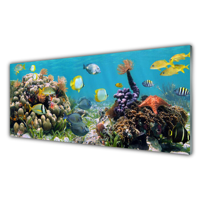 Slika na akrilnom staklu Priroda koraljnog grebena