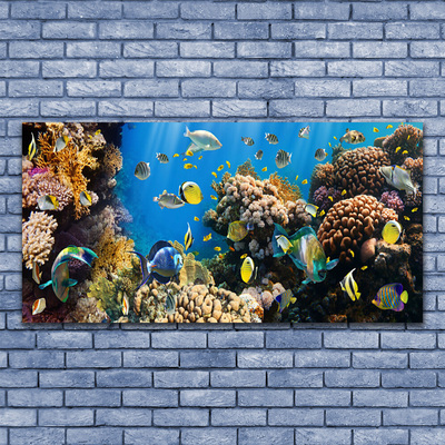 Fotografija na akrilnom staklu Priroda koraljnog grebena