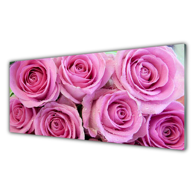 Slika na akrilnom staklu Biljka ruža